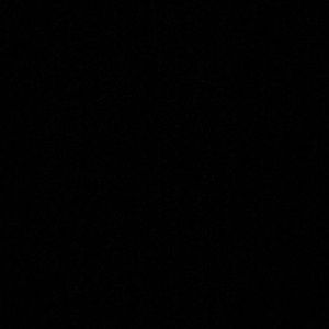 Meet your Posher, Amelia